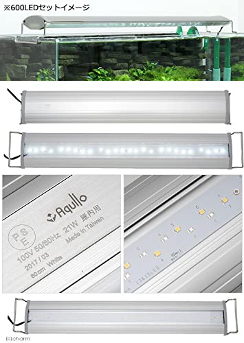 Amazon.co.jp: アクロ OVAL LED 600 3250lm